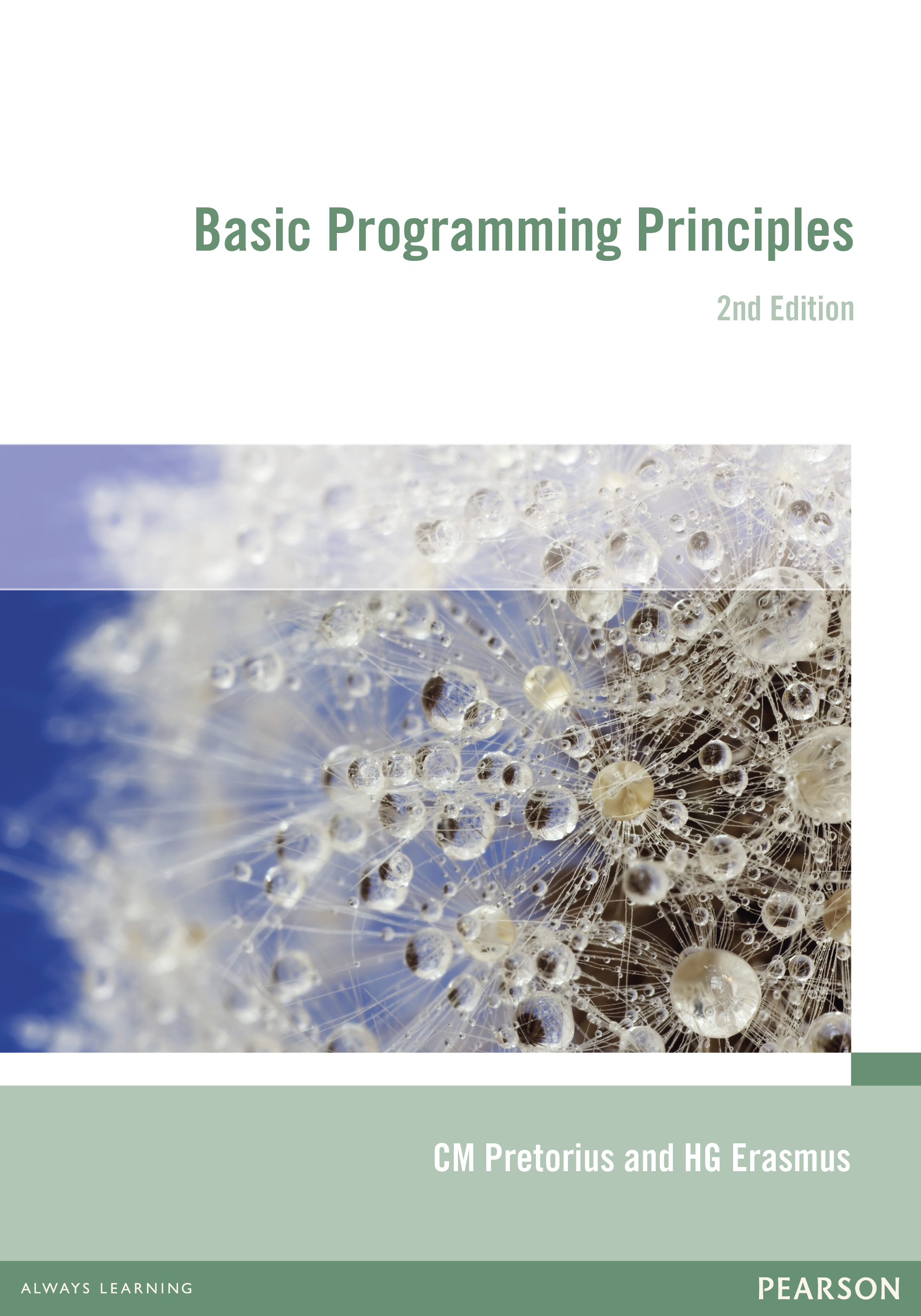 programming basics
